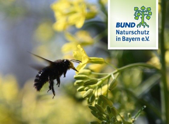 BUND Naturschutz – UmweltStammtisch Puchheim